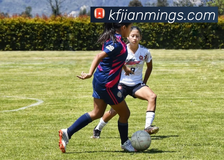 华体会服务体系