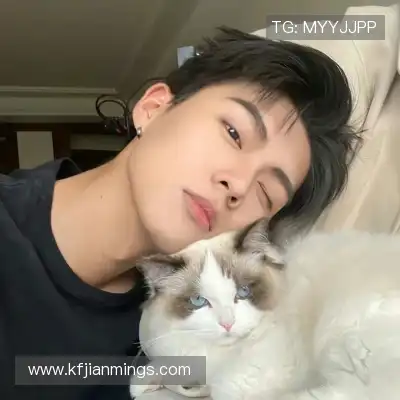 韶诚洁